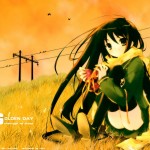 wallpic028